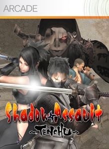 Shadow Assault: Tenchu