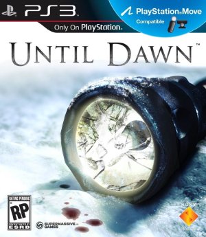 Until Dawn