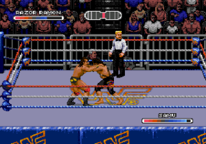 WWF Rage in the Cage