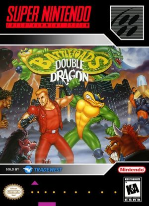 Battletoads & Double Dragon: The Ultimate Team