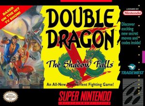 Double Dragon V: The Shadow Falls