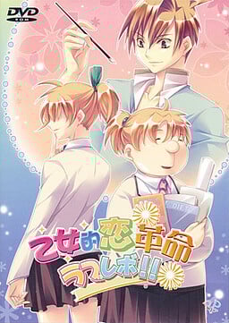 Girlish Love Revolution – Love Revo Nintendo DS ROM
