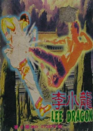 The Dragon NES ROM