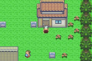 True Pokemon Saga