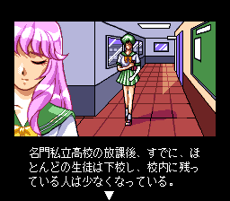 Shinsetsu Shiawase Usagi